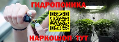 PSILOCYBIN Нягань