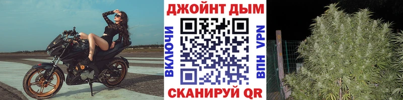 Марихуана план  продажа наркотиков  MEGA зеркало  Ревда 